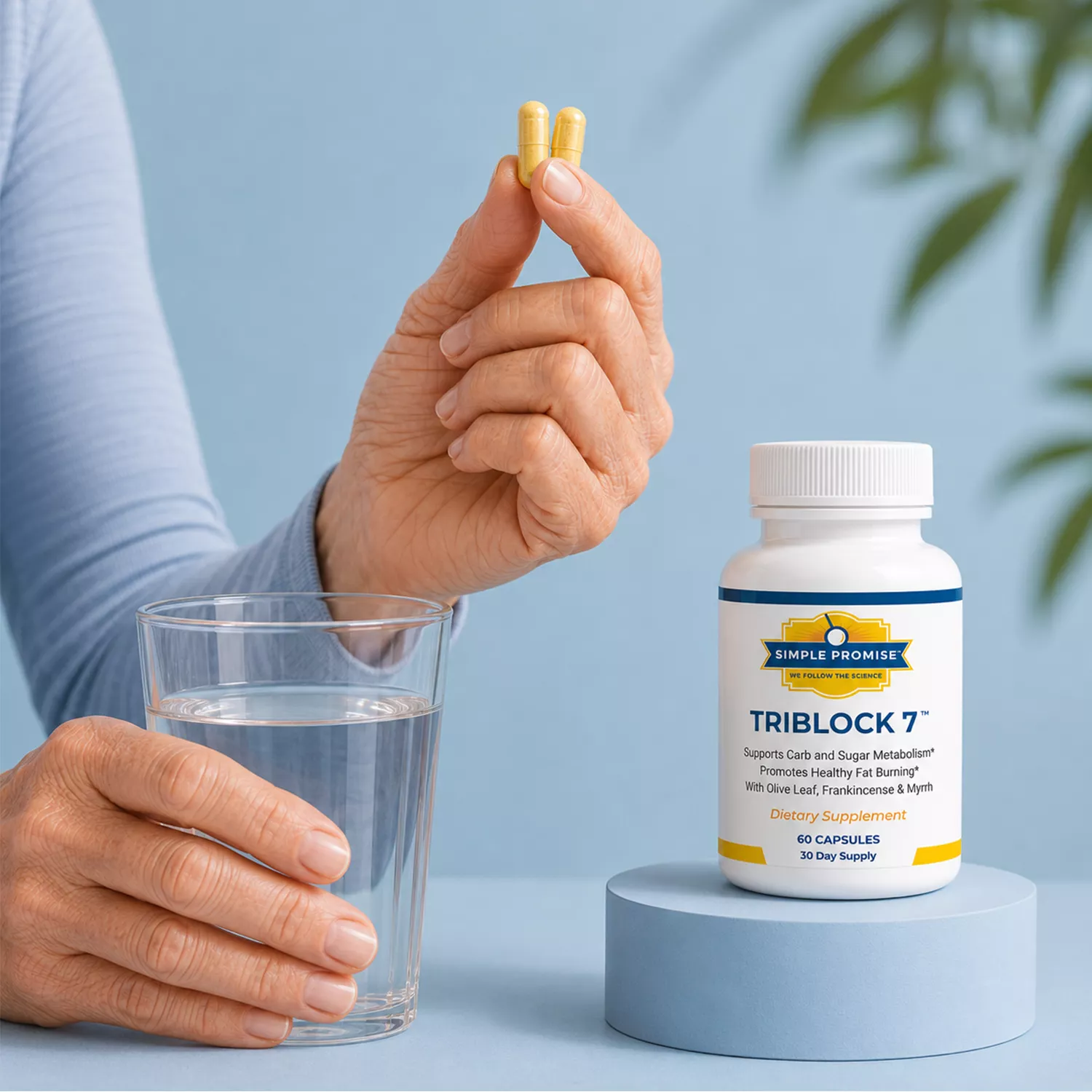 TriBlock7 seven-ingredient formula overview